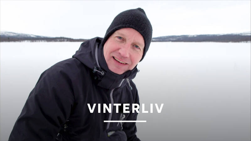 Beppe Starbrink - Vinterliv
