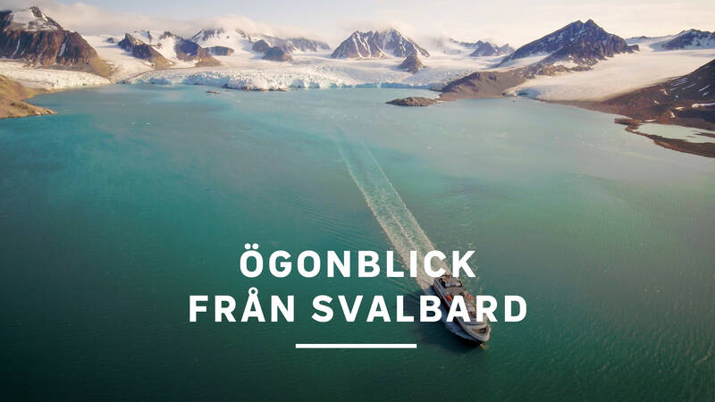 Ögonblick från Svalbard.
