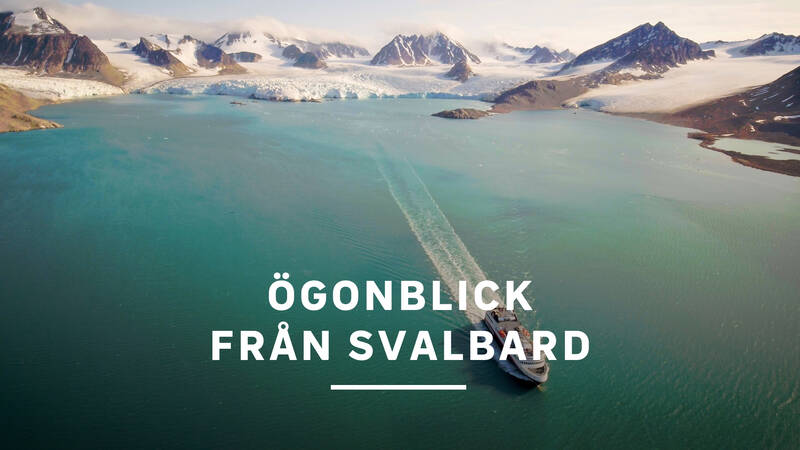 Ögonblick från Svalbard.