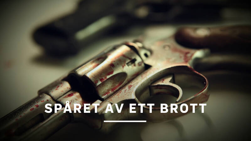 En revolver är under utredning. Förövaren är alltid före utredarna, men tack vare modern kriminalteknik kan sökningen efter ledtrådar snabbt komma ikapp. - Spåret av ett brott