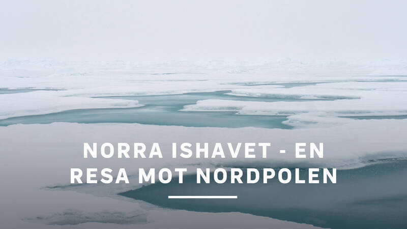 Norra ishavet - en resa mot Nordpolen