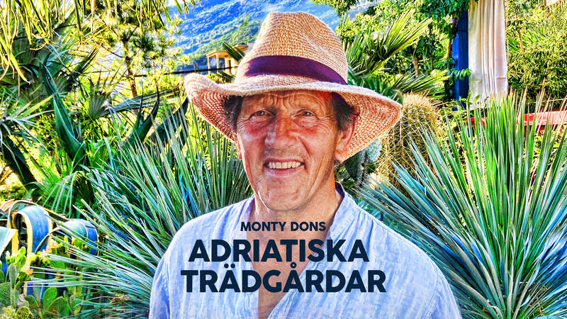 Monty Dons adriatiska trädgårdar.