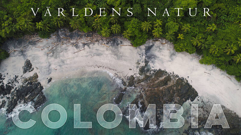 Colombia. - Världens natur: Colombia