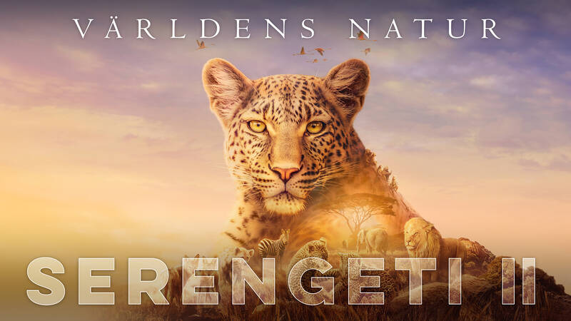 Serengeti II. - Världens natur: Serengeti II