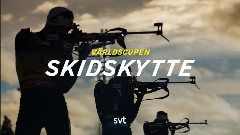Skidskytte: Världscupen