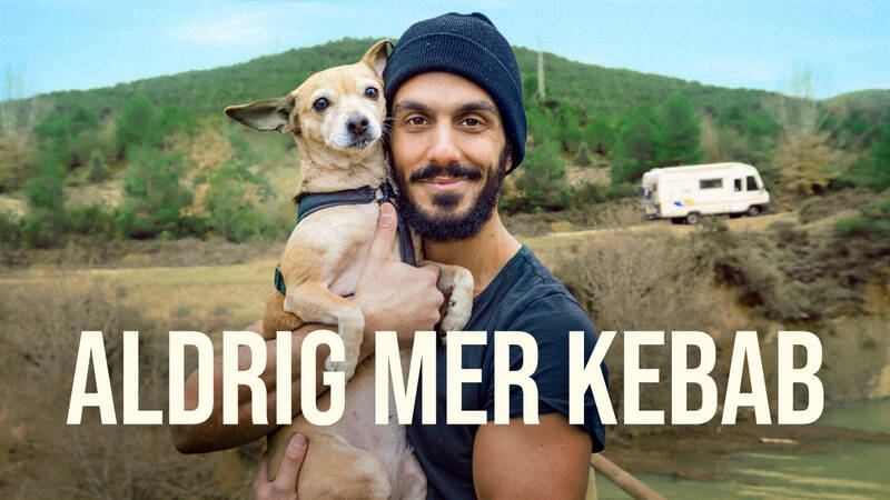 Aldrig mer kebab - Svensk dokumentär från 2023. Journalisten Gurgin säger upp sig från Sveriges Radio, lämnar sin lägenhet och flyttar in i en husbil tillsammans med sin hund Ronja, allt för att minska sin klimatpåverkan.