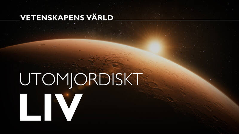 Vetenskapens värld: Utomjordiskt liv - Utforskningen av Mars har intensifierats de senaste 20 åren. Om det finns bevis för liv där - om än utdött - så öppnar det för en ännu mer hisnande tanke: Hur mycket liv borde det i så fall finnas i resten av universum?