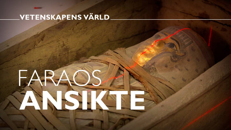 Vetenskapens värld: Faraos ansikte