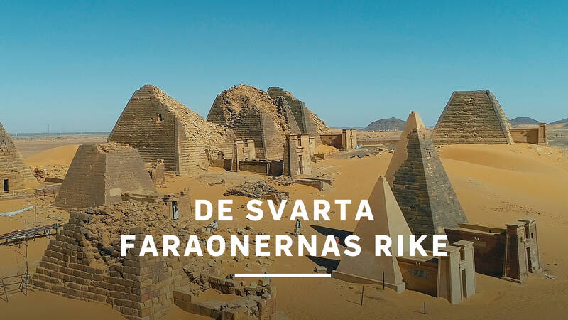 I nästan hundra år styrdes det antika Egypten av en dynasti känd som de svarta faraonerna. De kom från kungariket Kush till södra Egypten, i det som nu är Sudan. - De svarta faraonernas rike
