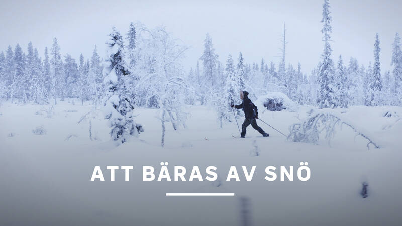 Anna Erlandsson - Att bäras av snö