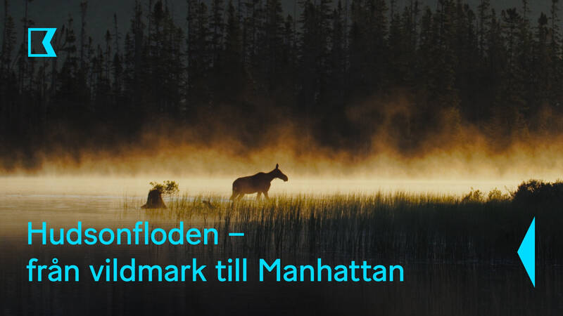Hudsonfloden – från vildmark till Manhattan