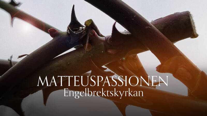 Matteuspassionen i Engelbrektskyrkan.