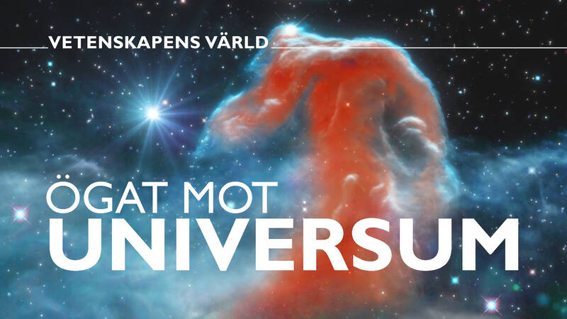 Sommaren 2022 skickade NASA:s nya superteleskop sina första bilder hem till jorden. James Webb-teleskopet lät oss se längre tillbaka i tiden än någonsin tidigare. - Ögat mot universum
