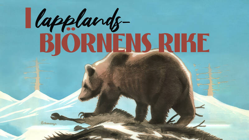 Stig Wesslén i Lapplandsfjällen. Den första autentiska björnupptagningen i Skandinavien. - I Lapplandsbjörnens rike