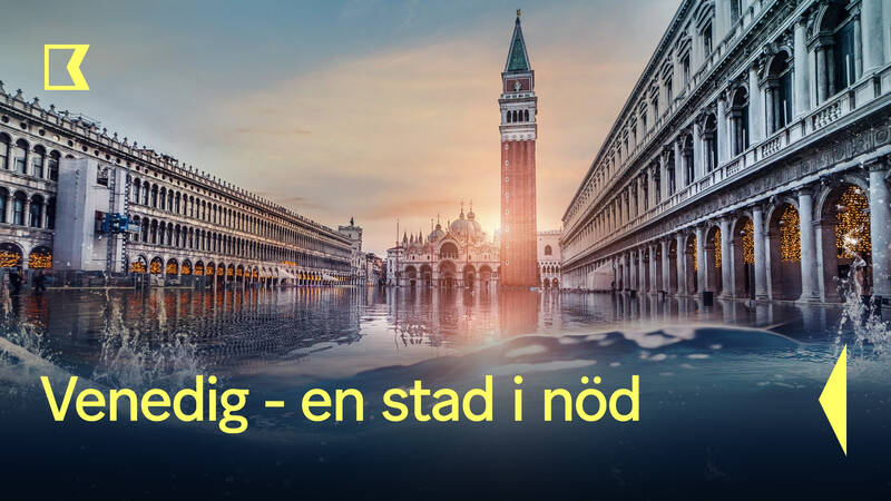 Venedig - en stad i nöd. Kan forskarna nu hitta nya sätt att rädda en av världens mest unika städer?