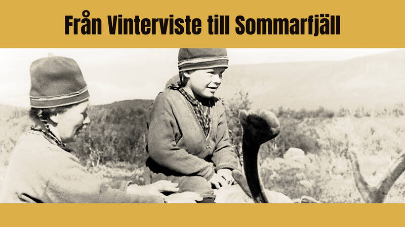 Det tog filmaren Stig Wesslén sju år att färdigställa den vackra filmen om jokkmokkssamernas nomadliv. - Från vinterviste till sommarfjäll