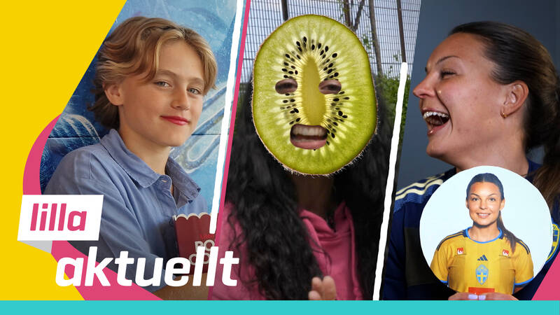Lilla Aktuellt