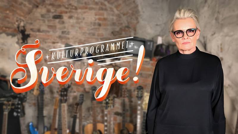 Sverige Eva Dahlgren Science Fiction Donnez SVT Play