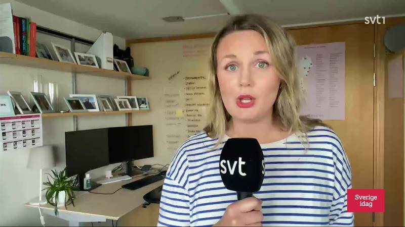 Sverige idag – Avsnitt 31 | SVT Play
