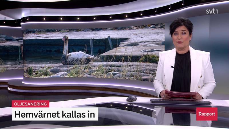 Rapport – Avsnitt 43 | SVT Play