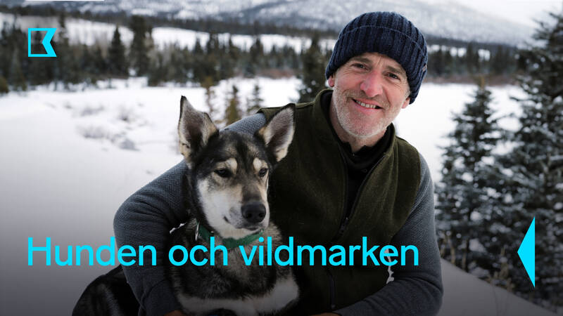 Gordon Buchanan med sin slädhund Wookie. - Hunden och vildmarken