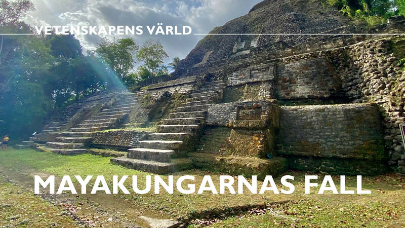 Vetenskapens värld: Mayakungarnas fall