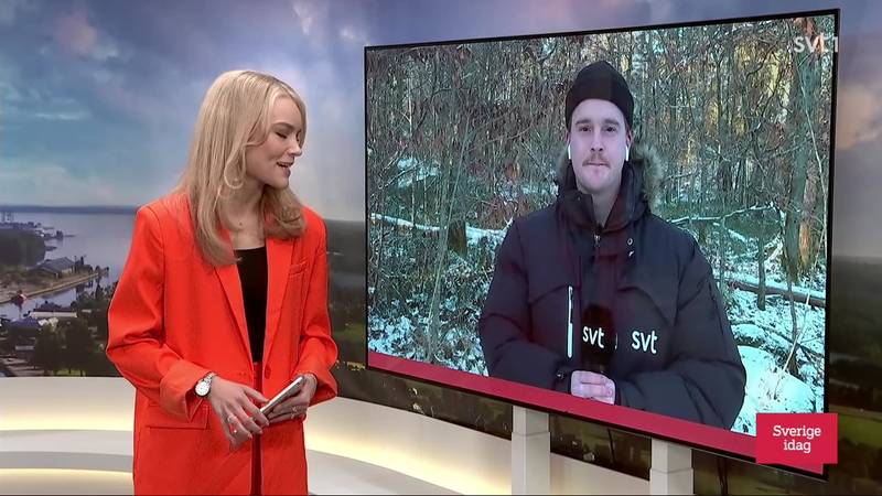 Sverige idag – Avsnitt 6 | SVT Play