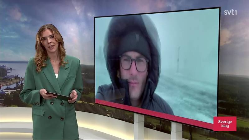Sverige idag – Avsnitt 19 | SVT Play