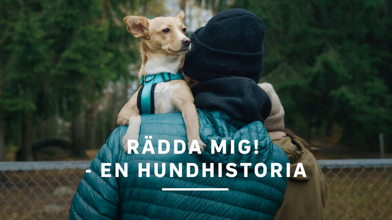 Rädda mig! - en hundhistoria, finsk dokumentärserie från 2023.