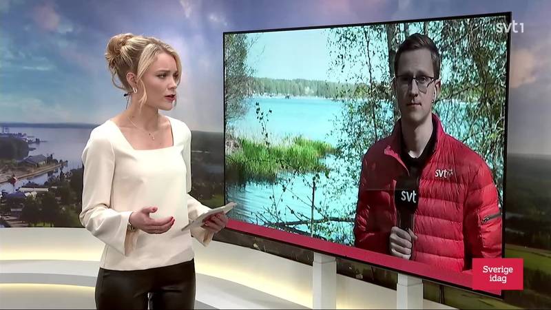 Sverige idag – Avsnitt 94 | SVT Play