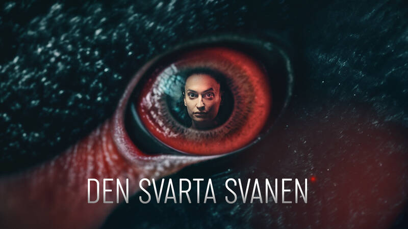 Den svarta svanen - Dansk dokumentärserie från 2024.