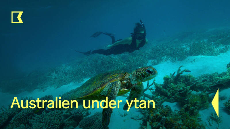 Australien under ytan
