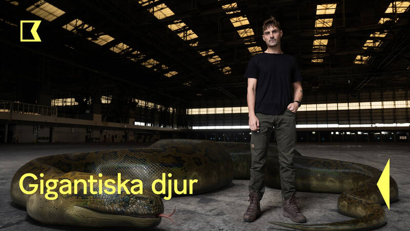 porträttfoto av Dan i en hangar - Gigantiska djur