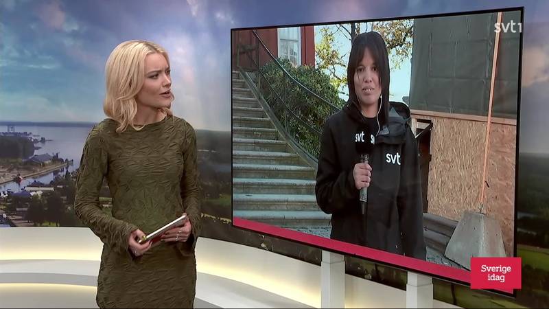 Sverige idag – Avsnitt 42 | SVT Play