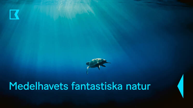 Medelhavets fantastiska natur, Fransk naturserie från 2024.