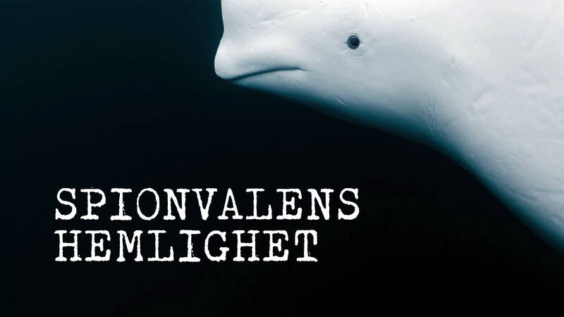Dokument utifrån: Spionvalens hemlighet