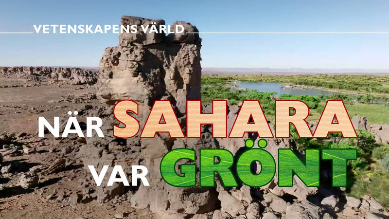 Vetenskapens värld: När Sahara var grön - När Sahara var grönt