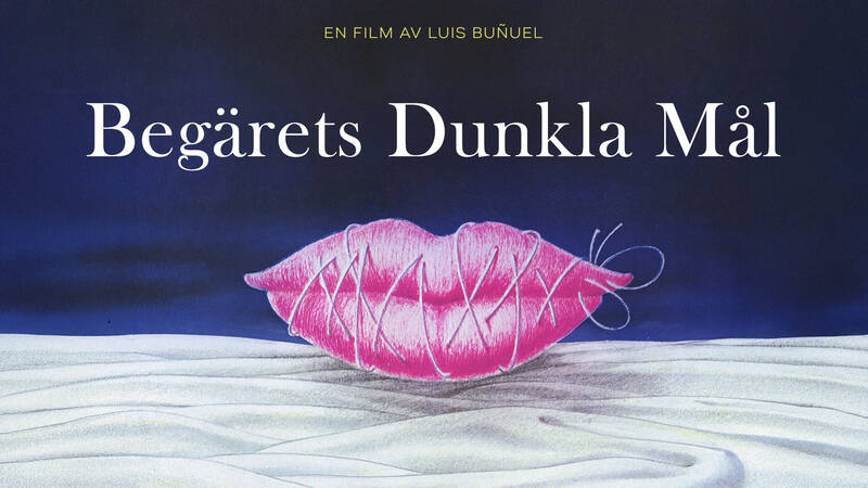 Begärets dunkla mål