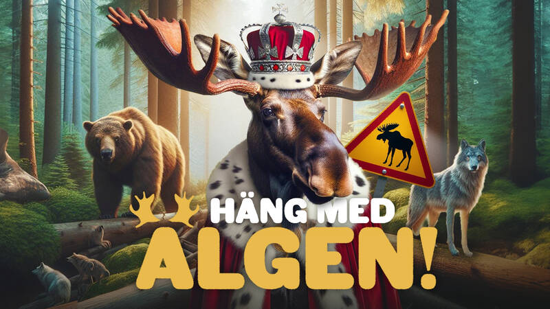 Häng med älgen!