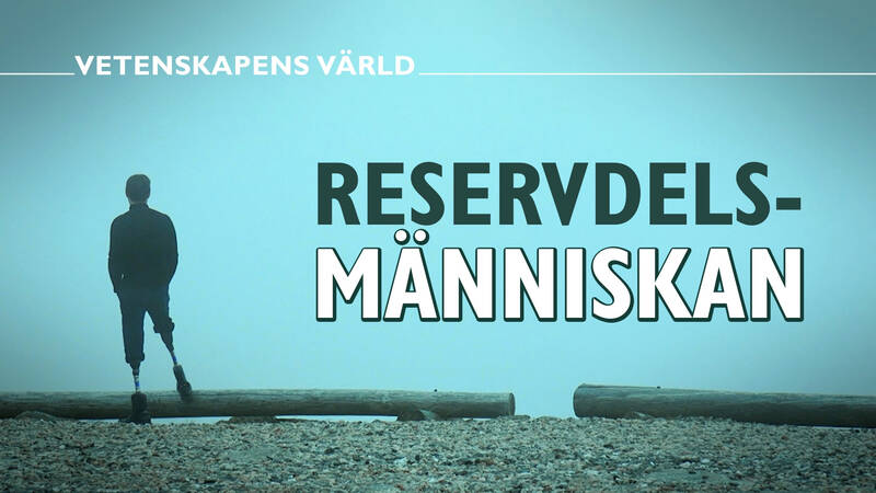 En man med en protes står på en strand och blickar ut över havet. Affischbild för Reservdelsmänniskan.