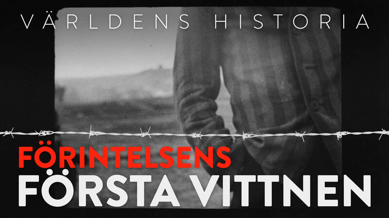 Världens historia: Förintelsens första vittnen