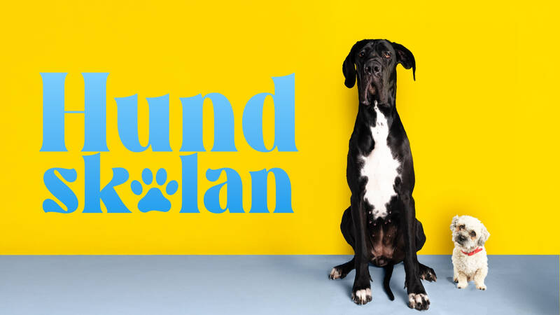 Sex hundar som beter sig som busar. Sex hundägare som älskar sina odågor, men som med förtvivlan ser att de inte får vardagen med hund att fungera. Kan hundtränaren Maren hjälpa dem att gå från noll koll till full kontroll? - Hundskolan