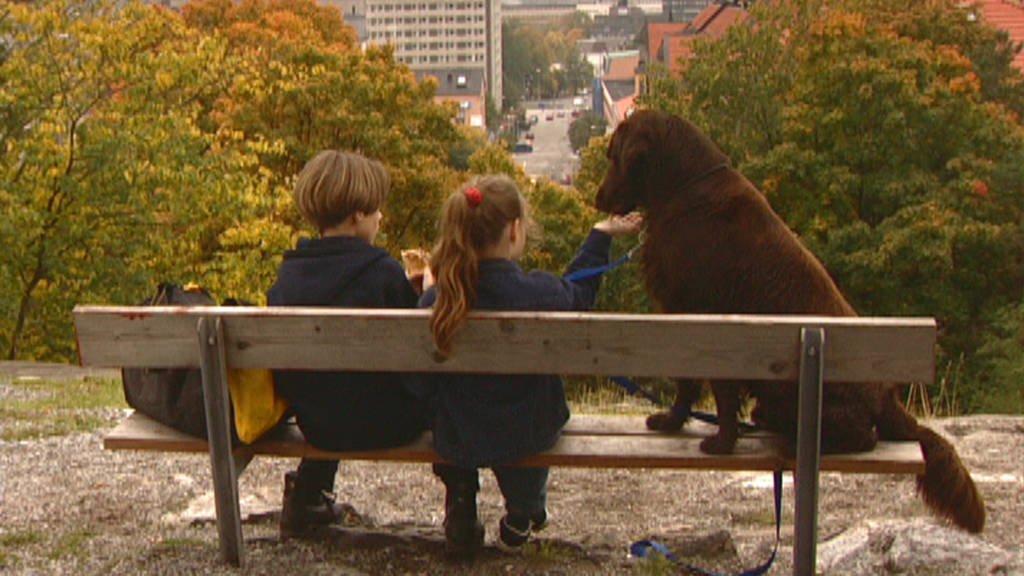 Svt Play Eva Och Adam