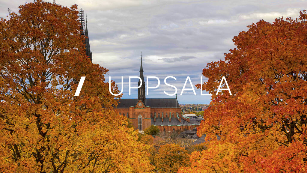 Lokala Nyheter Uppsala | SVT Play