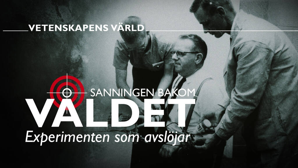 www.svtplay.se