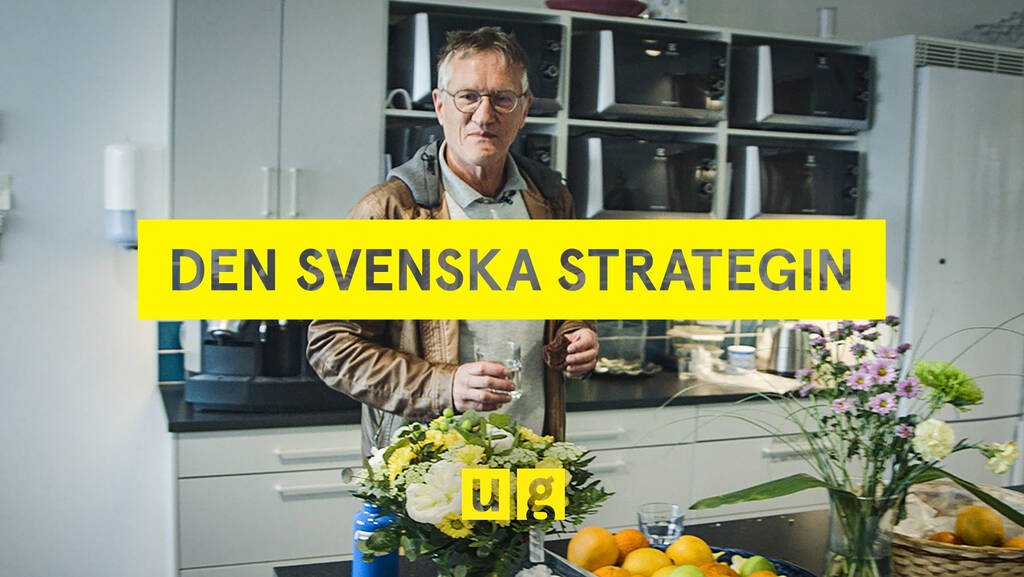 www.svtplay.se