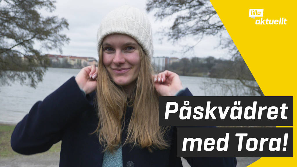 Svt Se Barnkanalen Lilla Aktuellt