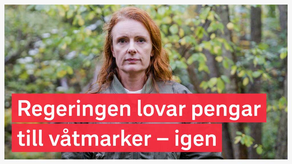 UPPDRAG GRANSKNING: Vad händer efter granskningen?