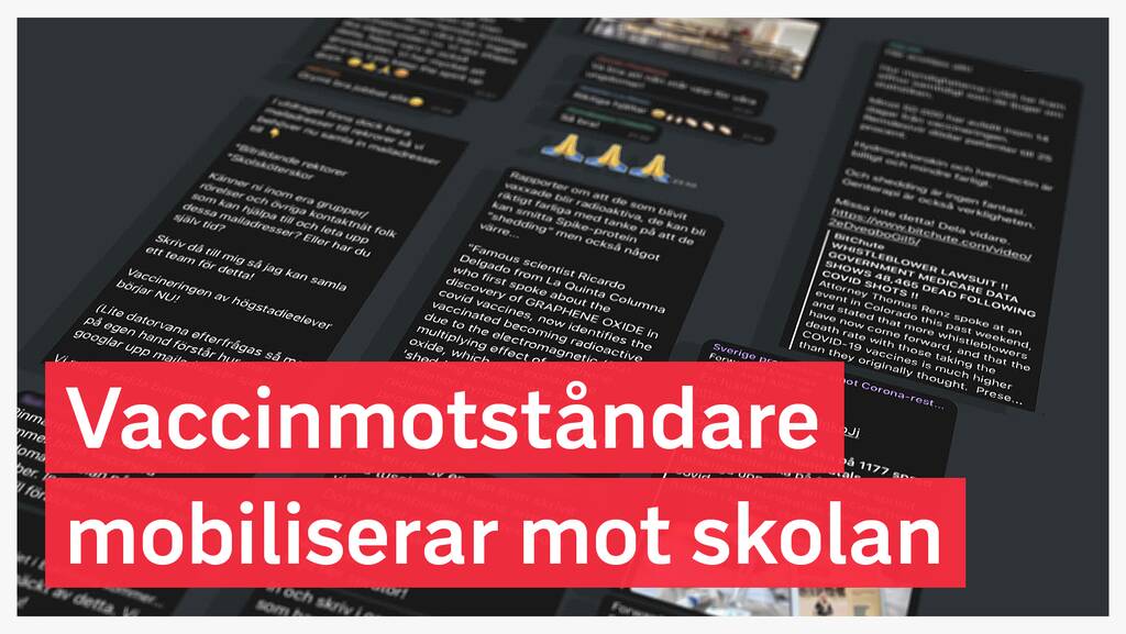 COVID-19: Organiserade antivaccin-aktioner mot skolpersonal