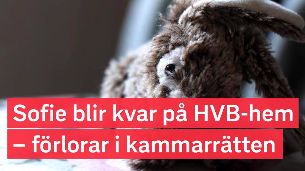 FALLET SOFIE: Ger socialtjänsten rätt